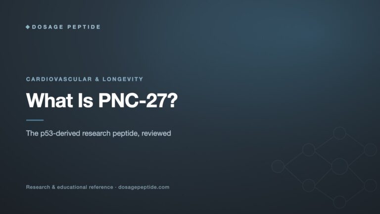 What is PNC-27? The Anti-Cancer Peptide Explained