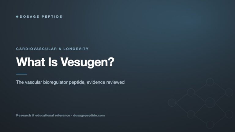 What Is Vesugen? The Vascular Bioregulator Peptide Explained