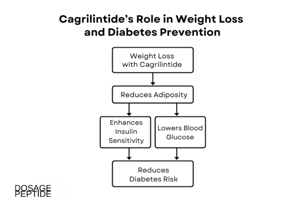 Medical flowchart illustrating how Cagrilintide supports weight loss, improves insulin sensitivity, lowers blood glucose, and may help reduce diabetes risk.