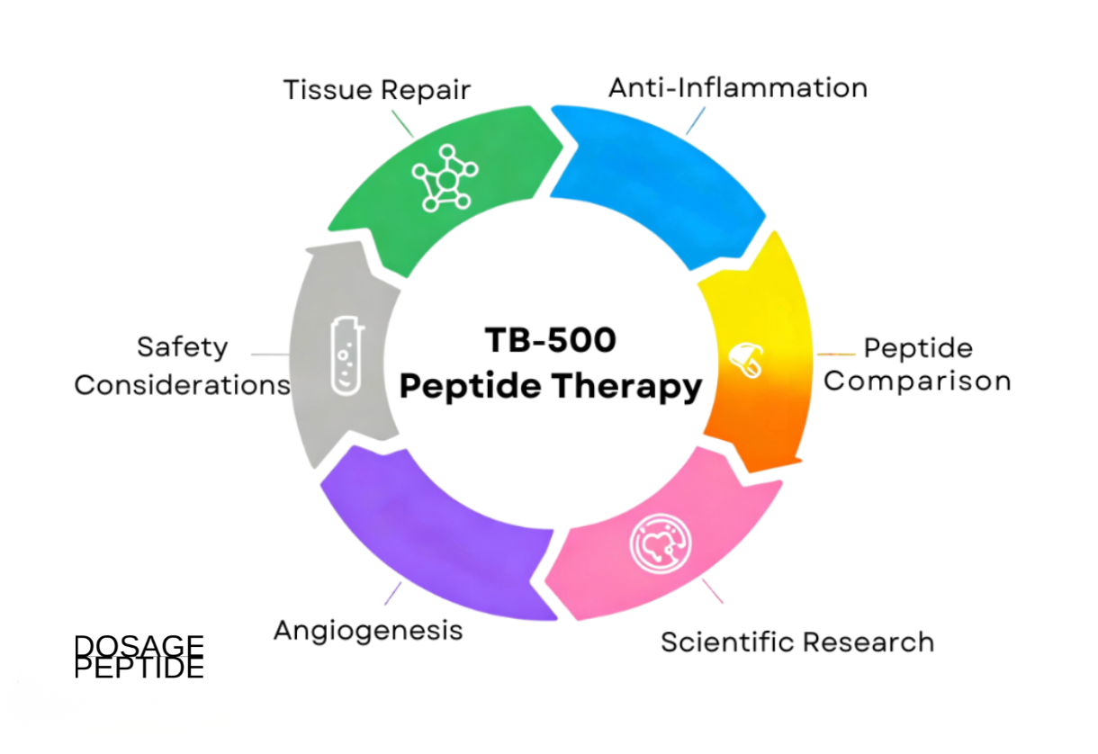 Circular infographic illustrating TB-500 peptide therapy benefits, including tissue repair, anti-inflammation, angiogenesis, and safety.