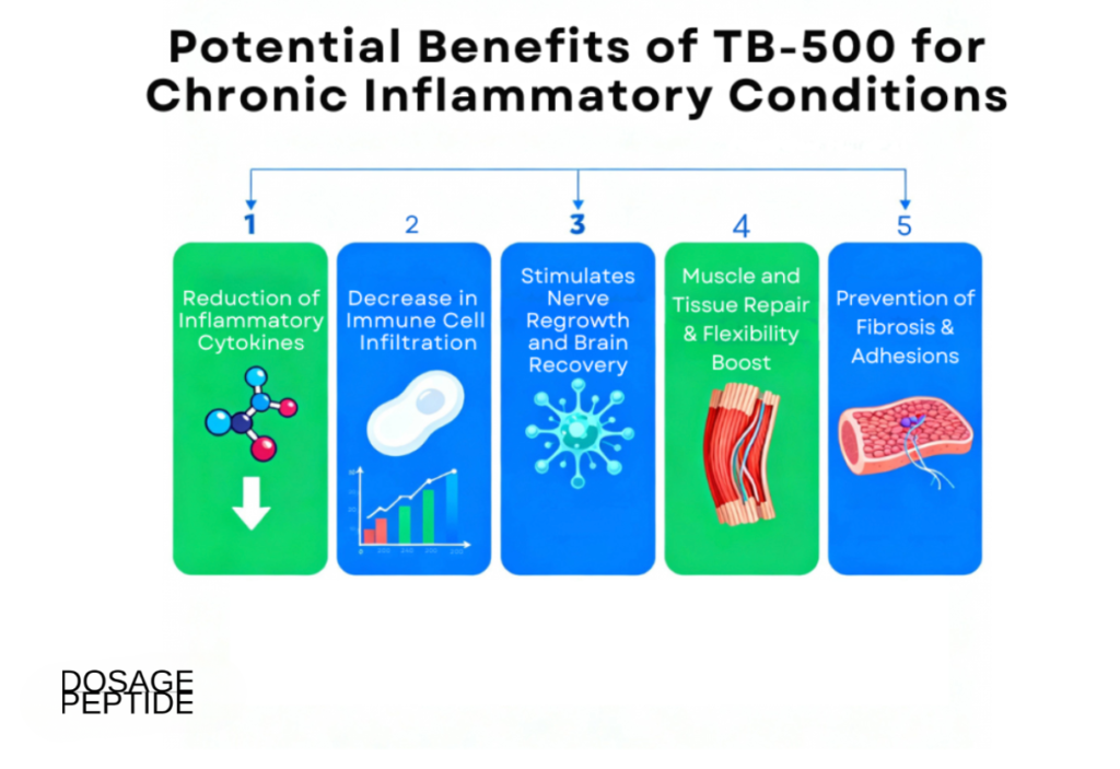 Infographic showing five key benefits of TB-500 for chronic inflammation, including repair and recovery.