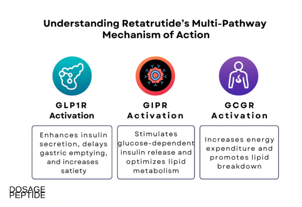 Infograph showing Retatrutide activating GLP1R, GIPR, and GCGR receptors to enhance metabolic health.
