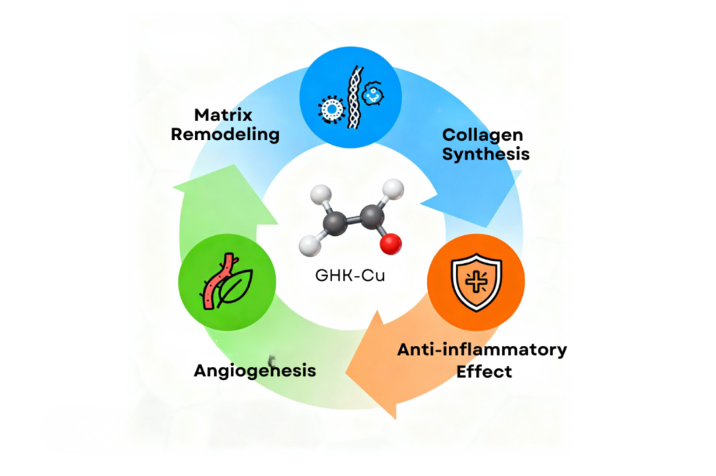Circular infographic showing GHK-Cu functions including collagen synthesis, anti-inflammatory effects, angiogenesis, and matrix remodeling around a central peptide structure.