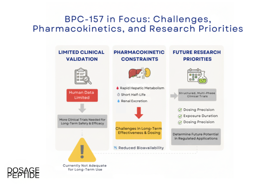 Infographic showing BPC-157 clinical limitations, pharmacokinetic challenges, and future research priorities.