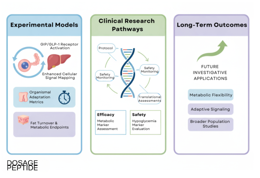 Infographic illustrating Cagrilintide’s biological pathways for metabolic, vascular, and neuroprotective stroke risk reduction.
