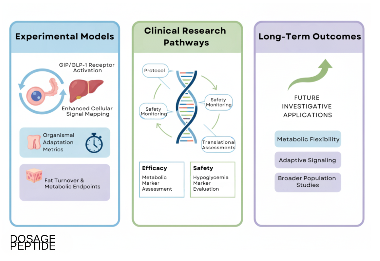 Diagram illustrating incretin therapy research progression, highlighting mechanisms, pathways, and projected applications.