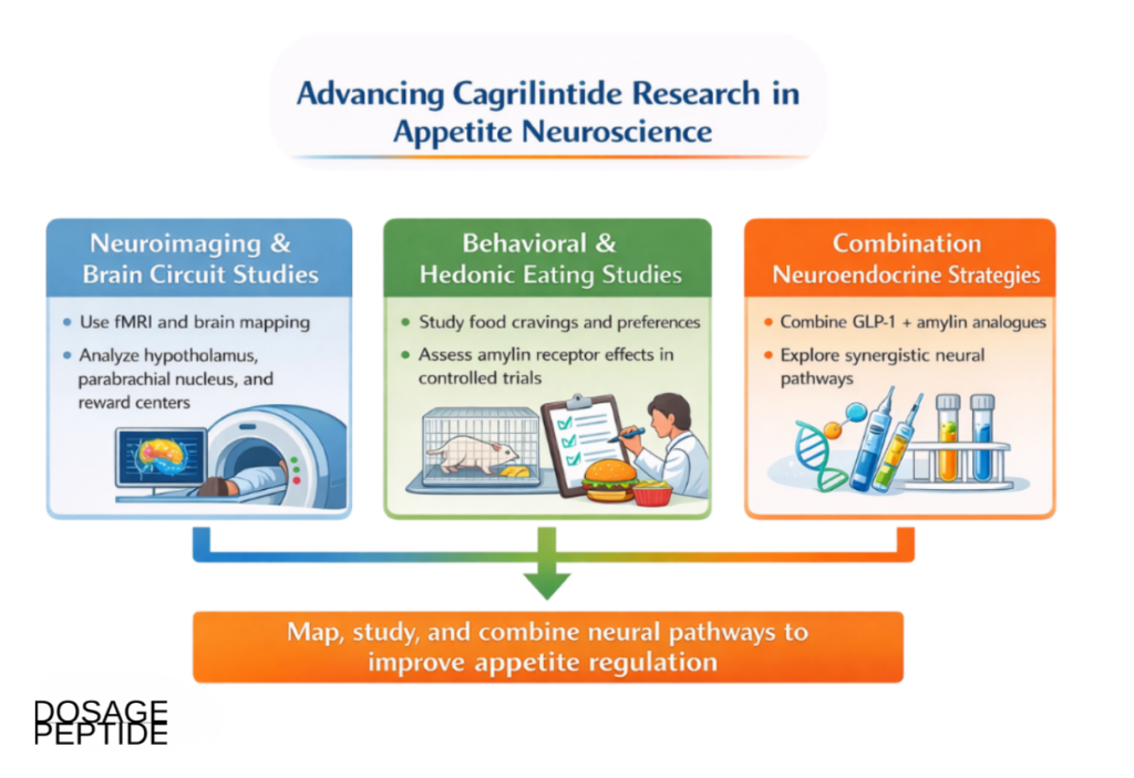 Educational graphic on Cagrilintide and its influence on brain satiety circuits and reward-driven eating
