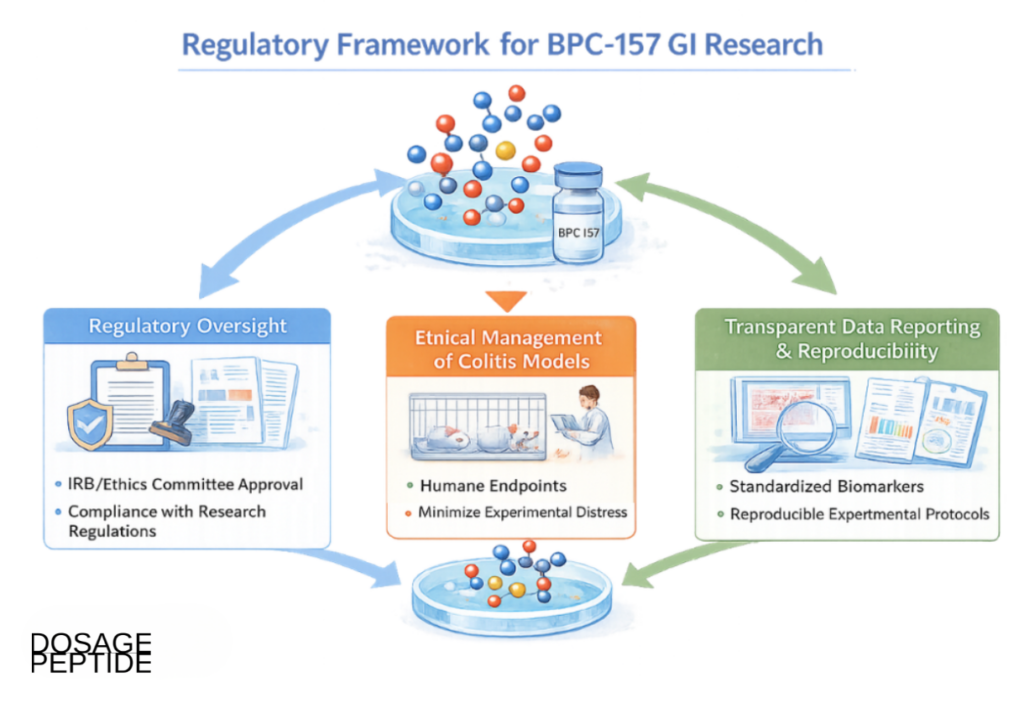 Educational illustration on BPC-157 influencing inflammation and mucosal repair in IBD research models