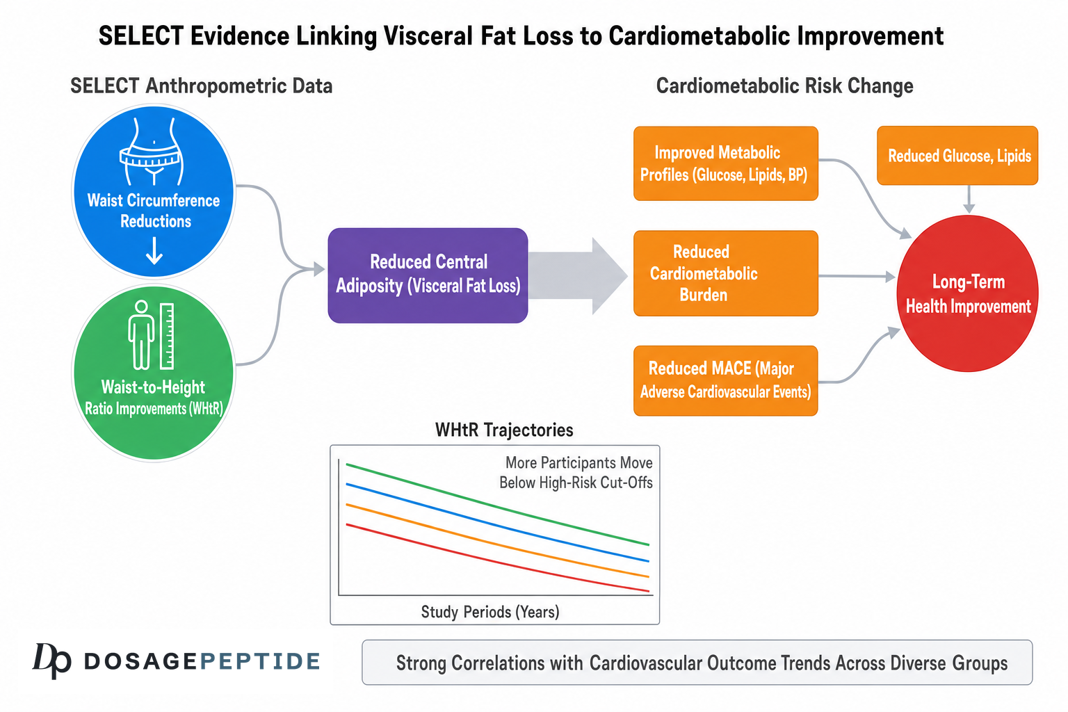SELECT trial evidence linking visceral fat loss to cardiometabolic improvement with semaglutide.
