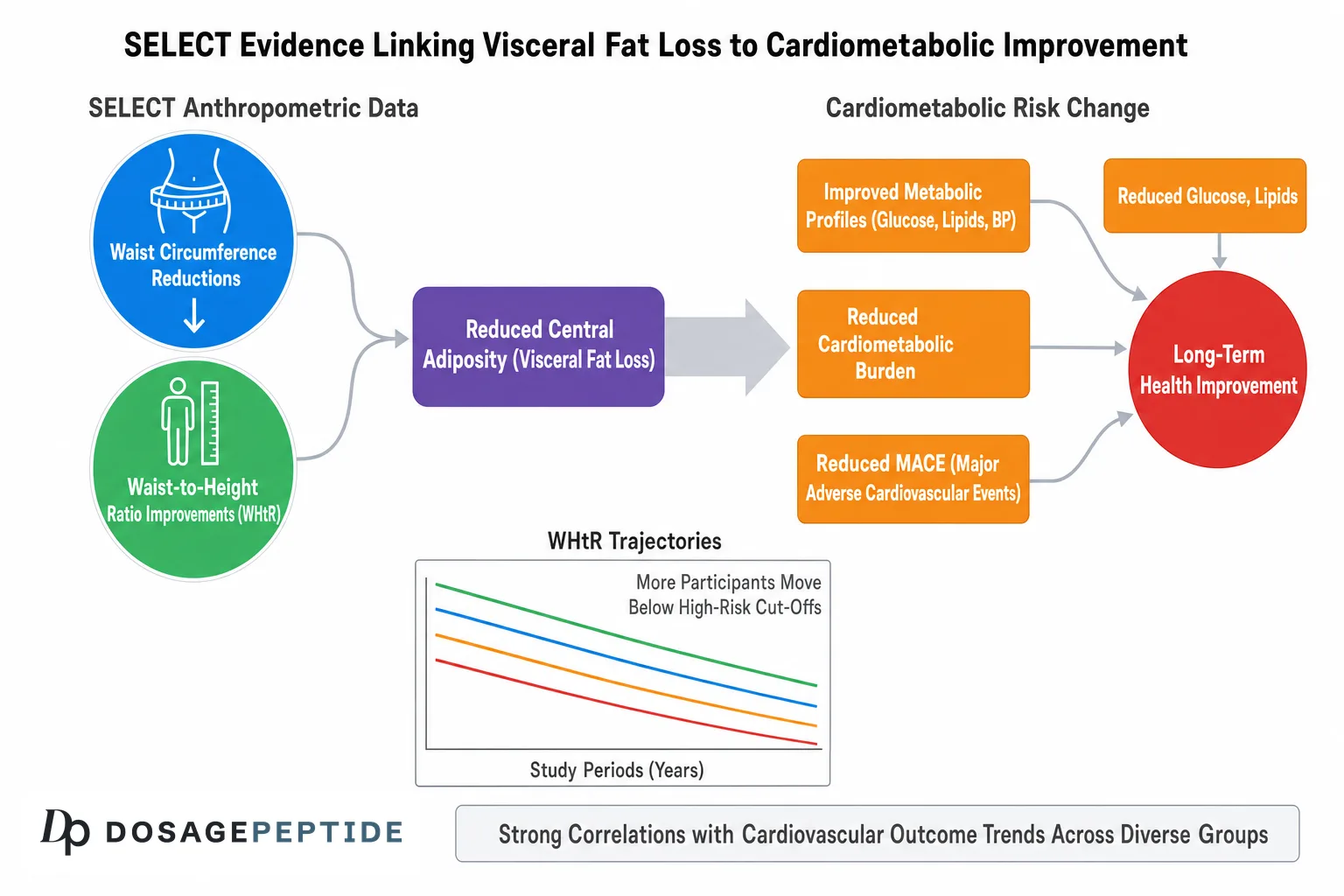 SELECT trial evidence linking visceral fat loss to cardiometabolic improvement with semaglutide.