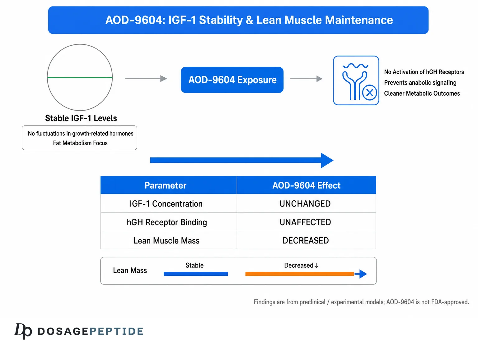 AOD-9604 IGF-1 stability and lean muscle maintenance shown in preclinical models; not FDA-approved.