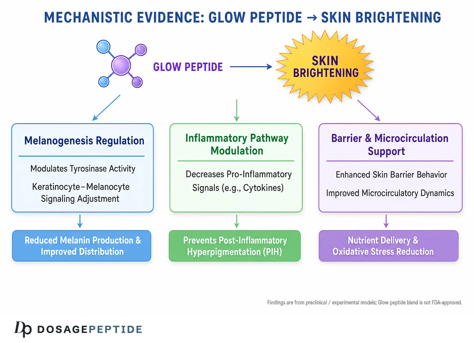 Glow peptide blend skin mechanisms; preclinical, not FDA-approved.