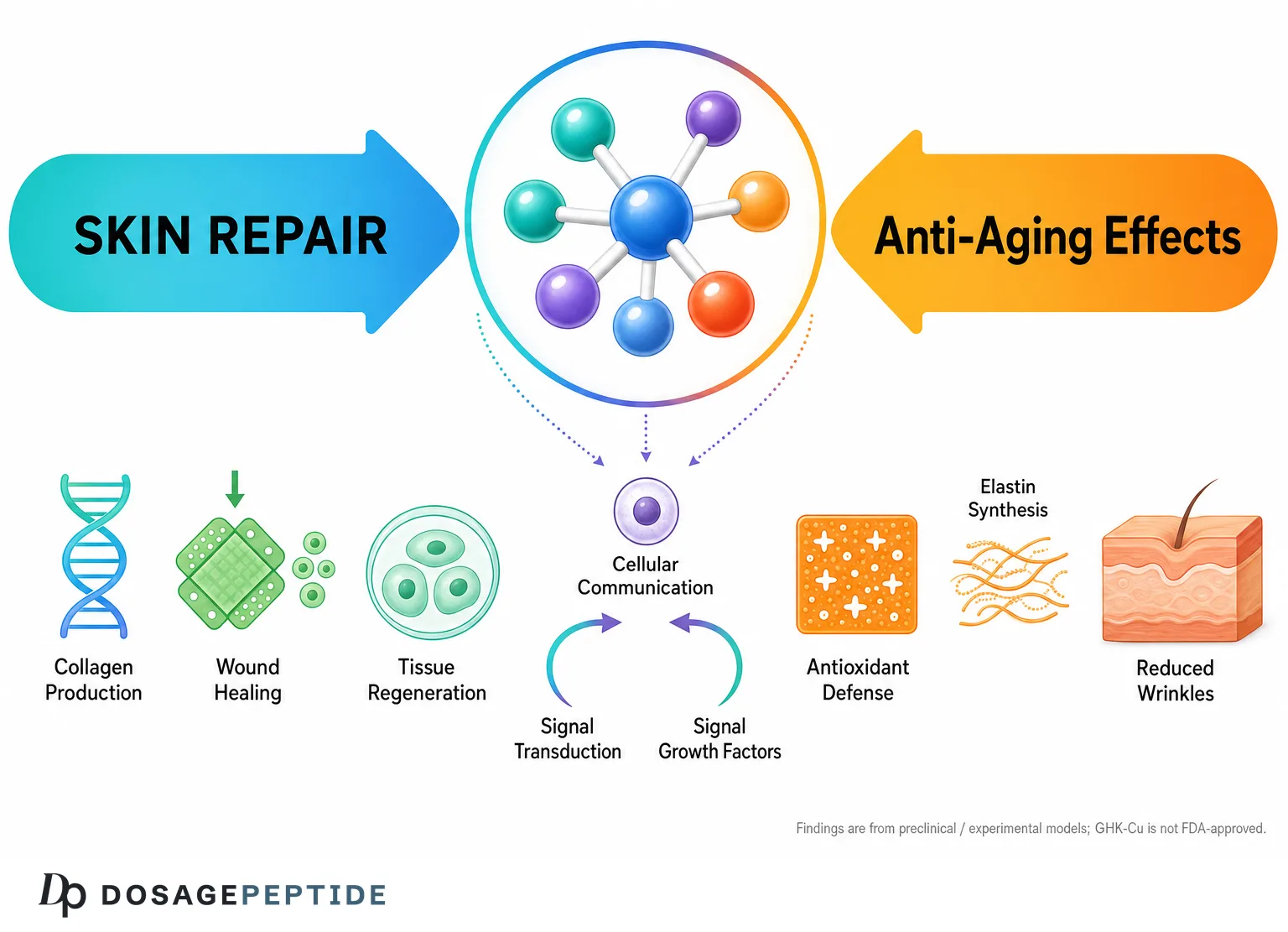 What Scientific Evidence Supports GHK-Cu’s Role in Skin Repair and Anti-Aging Processes?