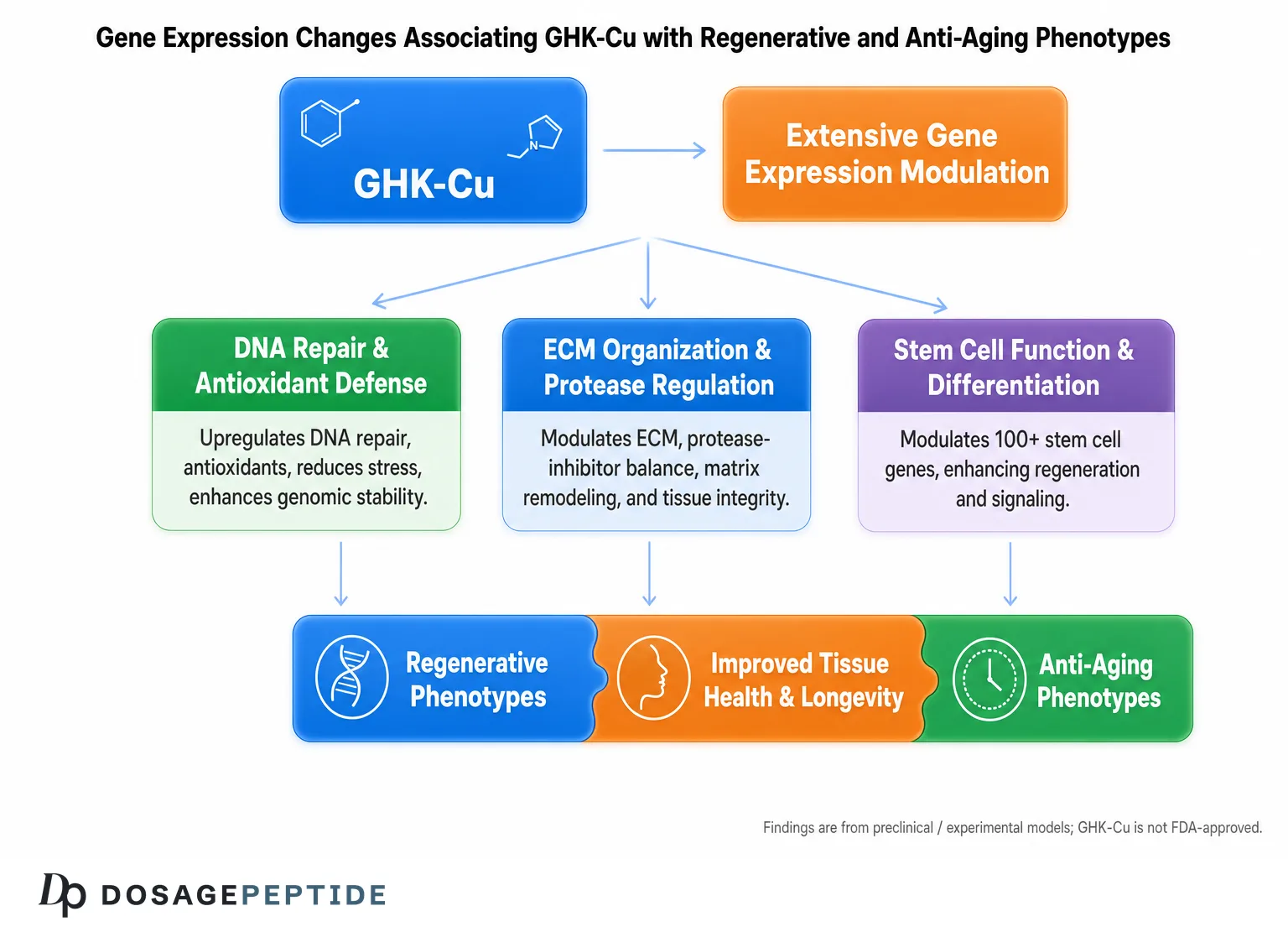 GHK-Cu gene-expression changes for regenerative and anti-aging phenotypes; preclinical, not FDA-approved.
