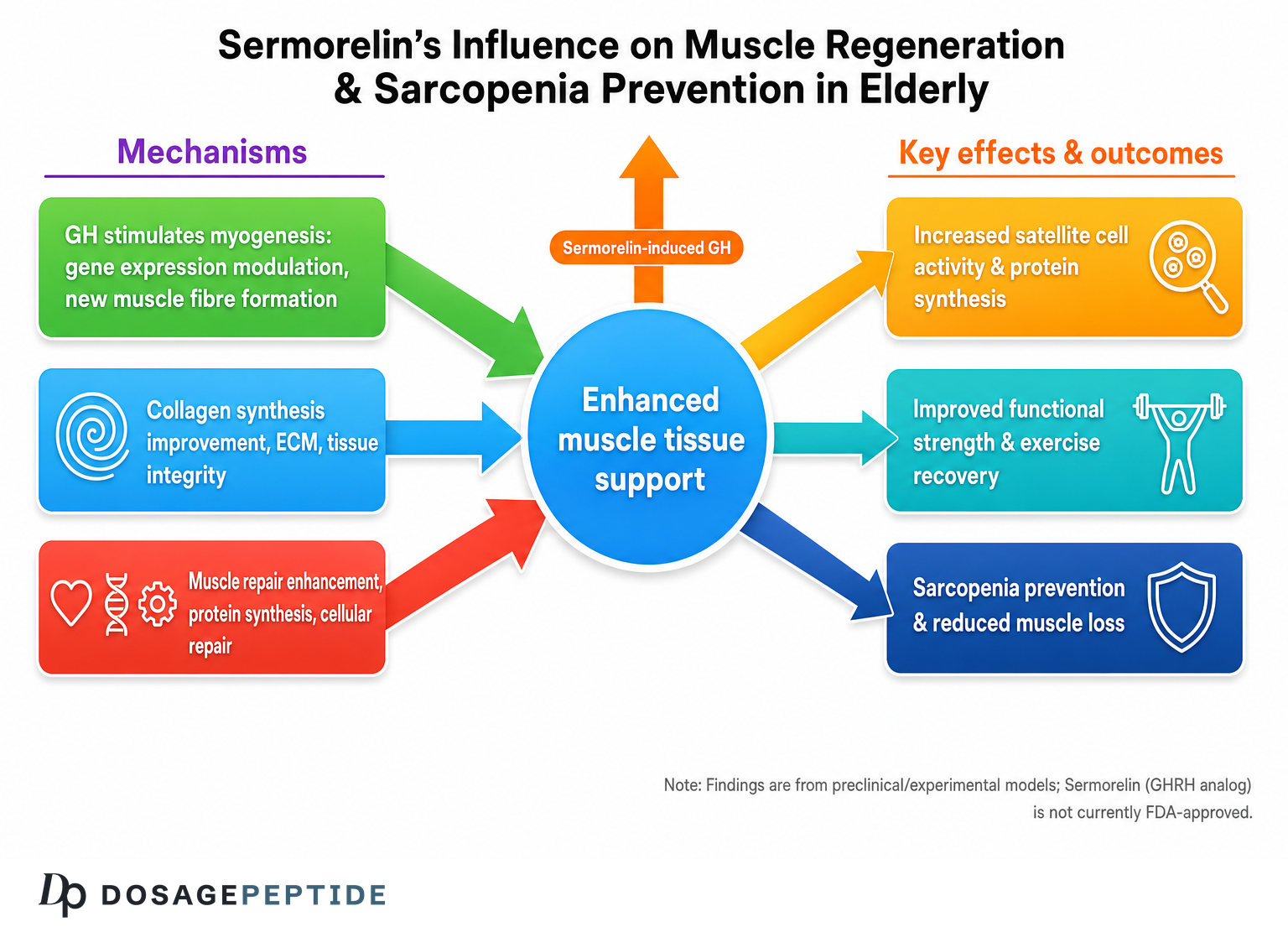Sermorelin growth-hormone support mechanisms; not currently FDA-approved.