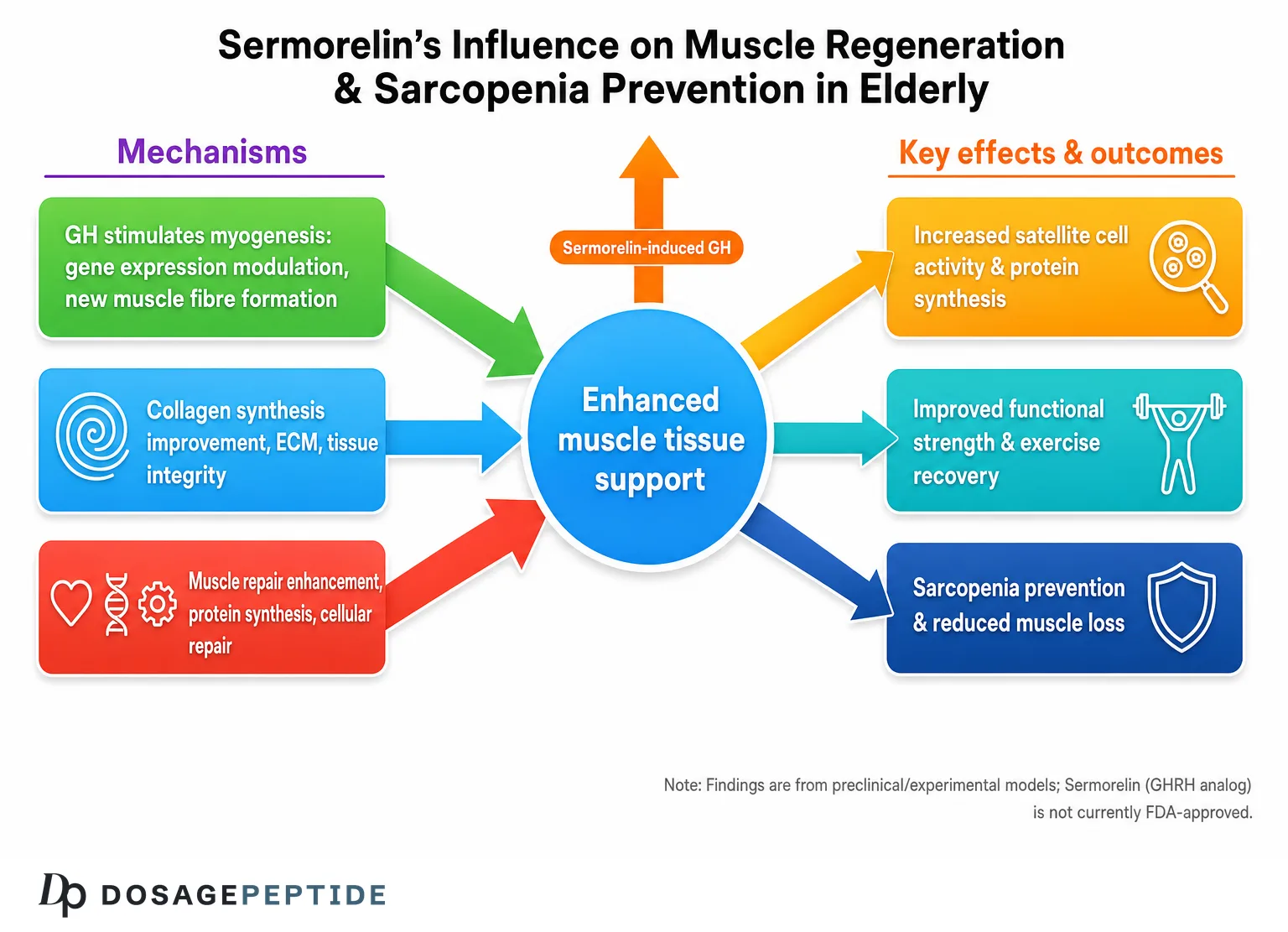 Sermorelin growth-hormone support mechanisms; not currently FDA-approved.