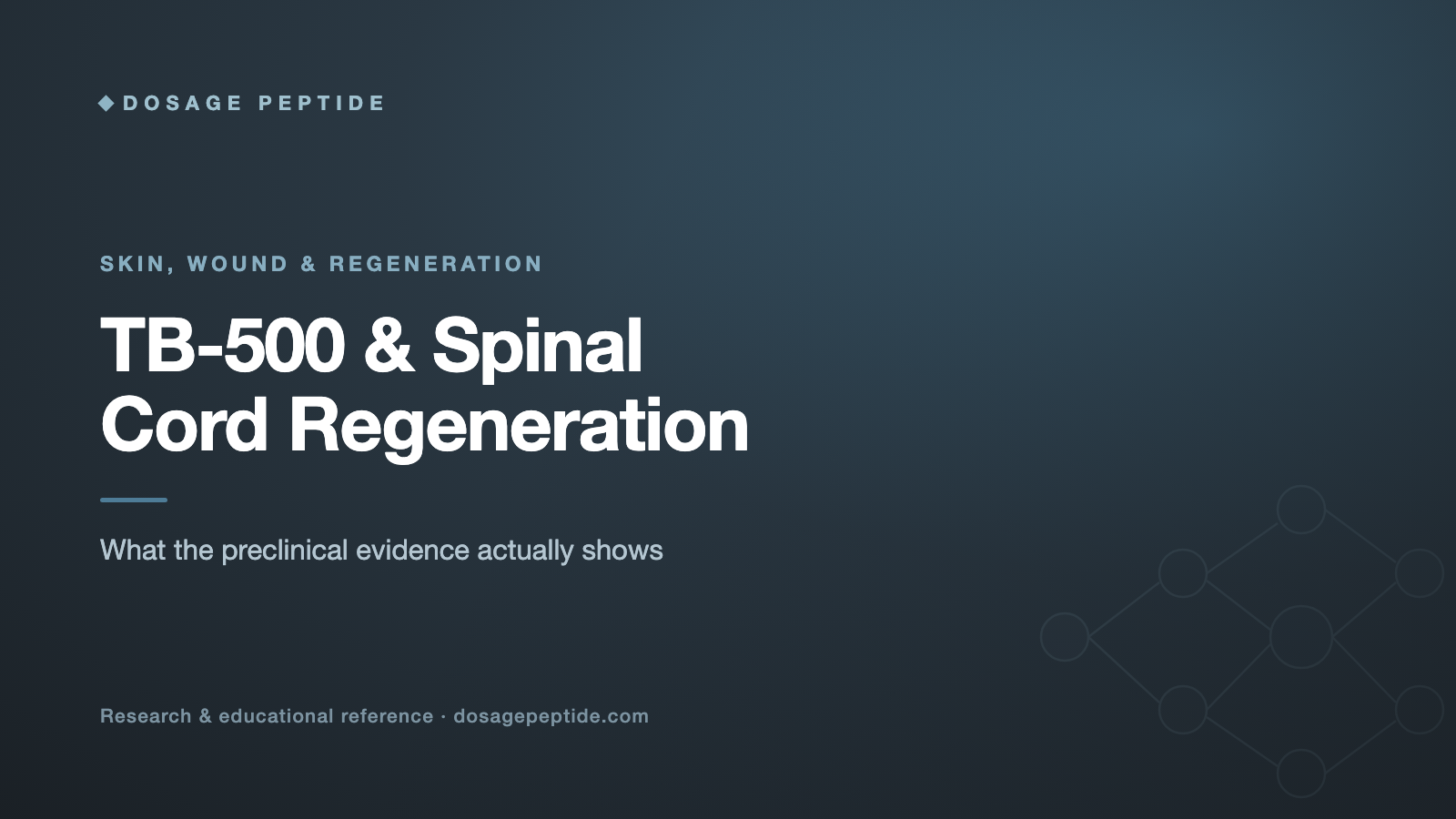 Can TB-500 Support Regeneration in Spinal Cord Injuries?