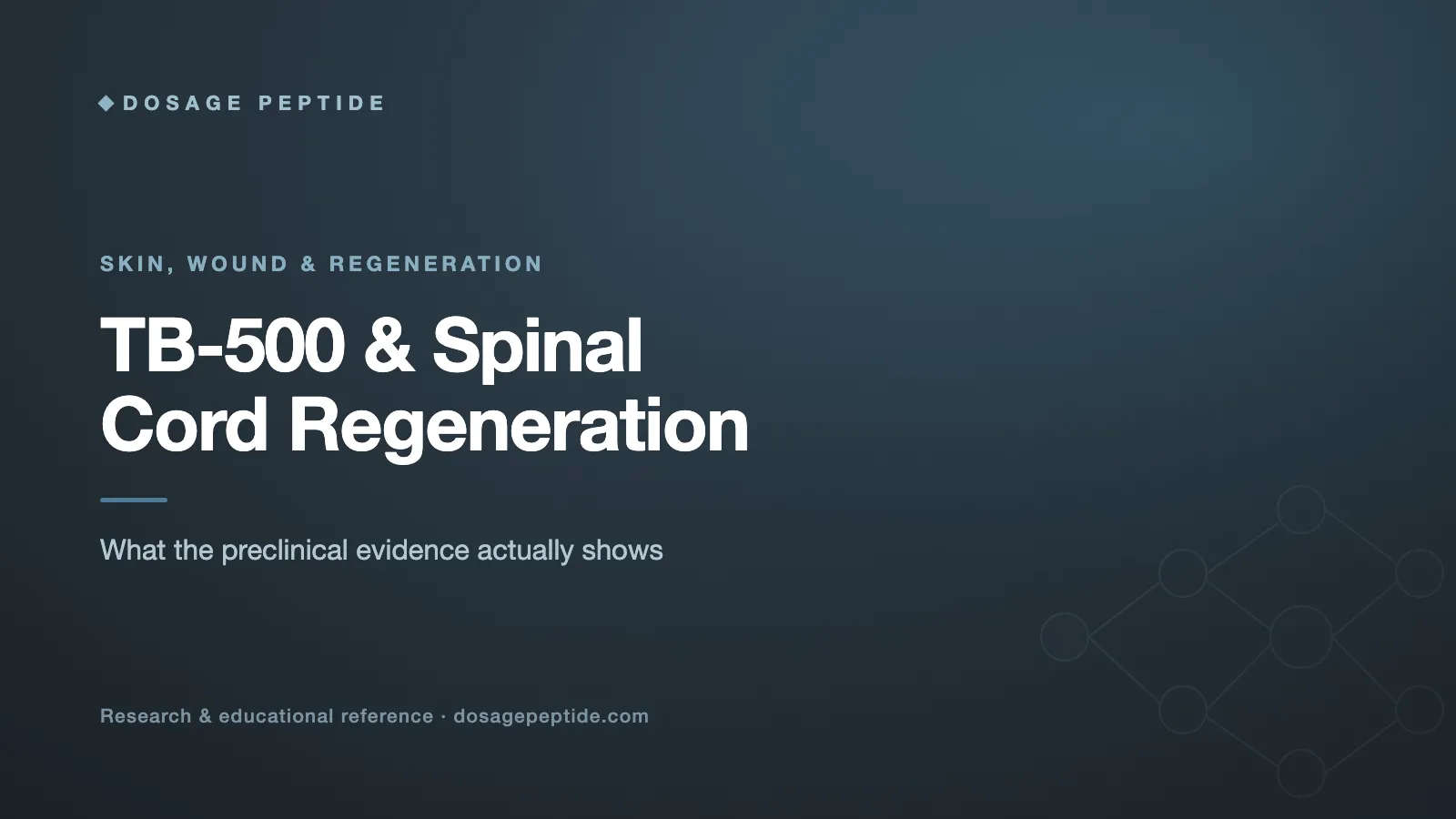 Can TB-500 Support Regeneration in Spinal Cord Injuries?
