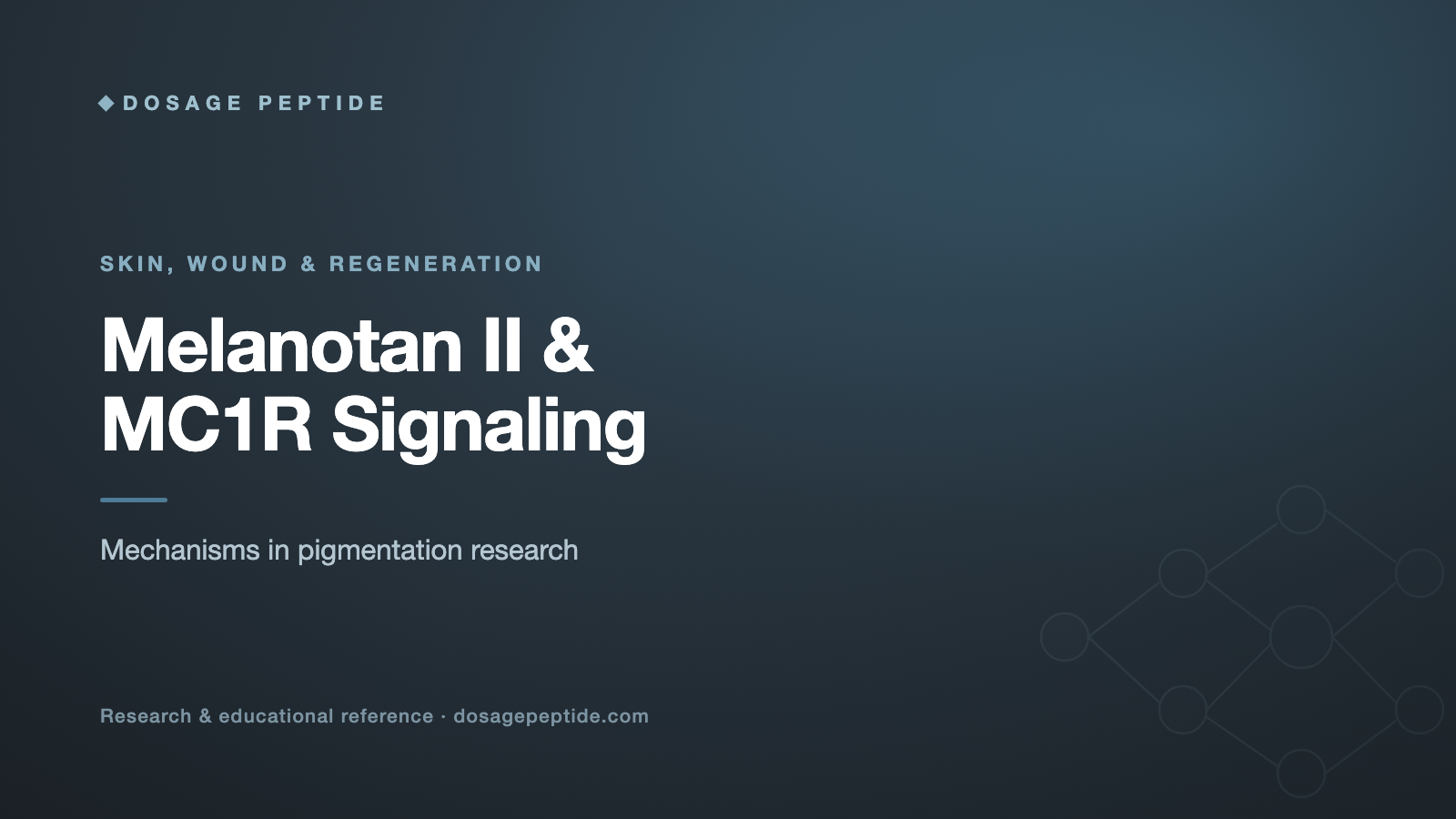 How does Melanotan II modulate MC1 signaling in pigmentation research?