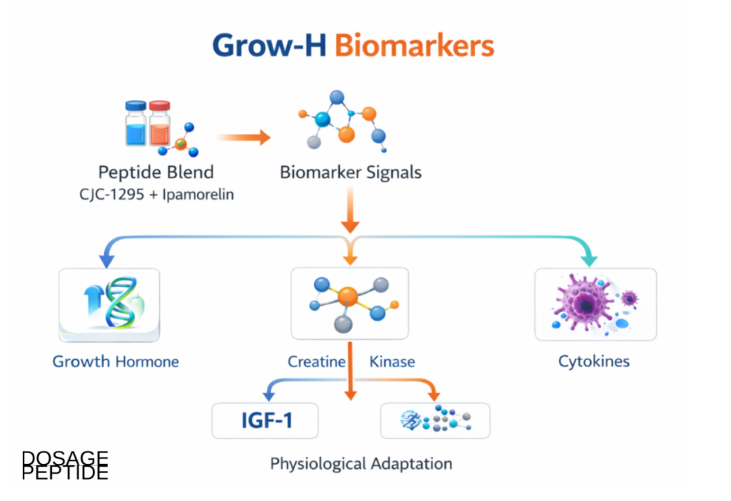 Research illustration of the Grow-H peptide blend and biomarker responses studied in research contexts