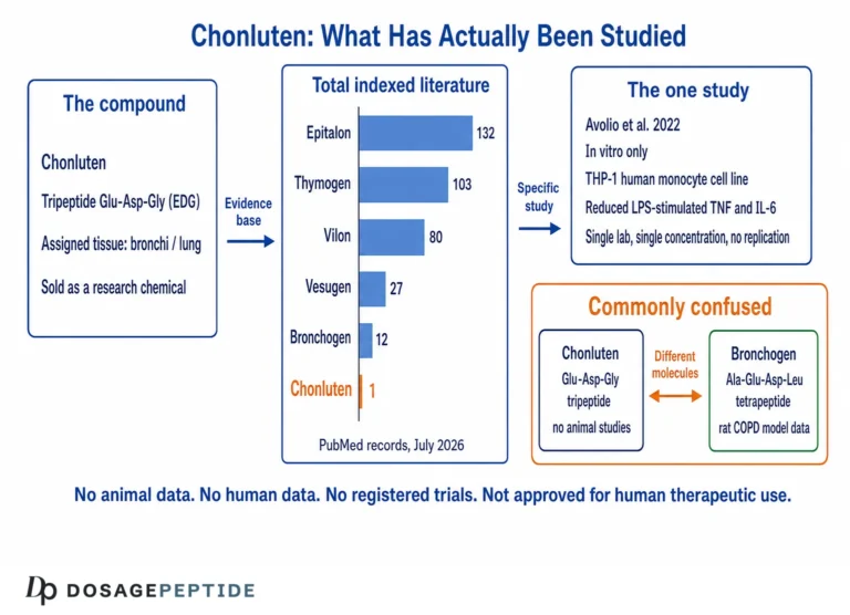 What Is Chonluten? The Respiratory Bioregulator Peptide Explained