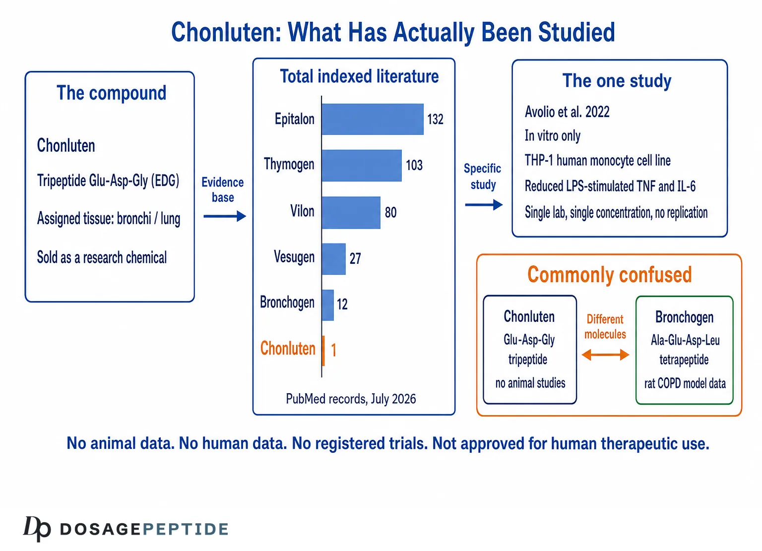 Evidence map for Chonluten: one PubMed-indexed study versus other Khavinson bioregulators, and the distinction between Chonluten (Glu-Asp-Gly) and Bronchogen (Ala-Glu-Asp-Leu).