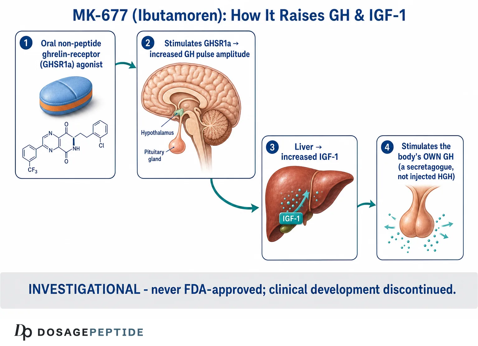 ipamorelin selective ghrp mechanism CJC-1295 (No DAC) + Blend 5+5mg for Sale ipamorelin effect on cortisol effects