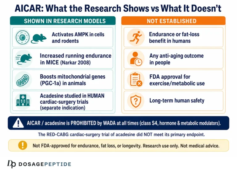 What Is AICAR? Effects, Evidence and Why It Is Banned