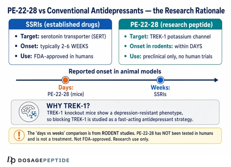 PE-22-28 Peptide: What It Does and the Evidence (2026)