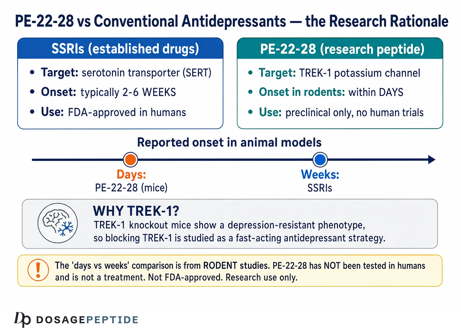PE-22-28 Peptide: What It Does and the Evidence (2026)