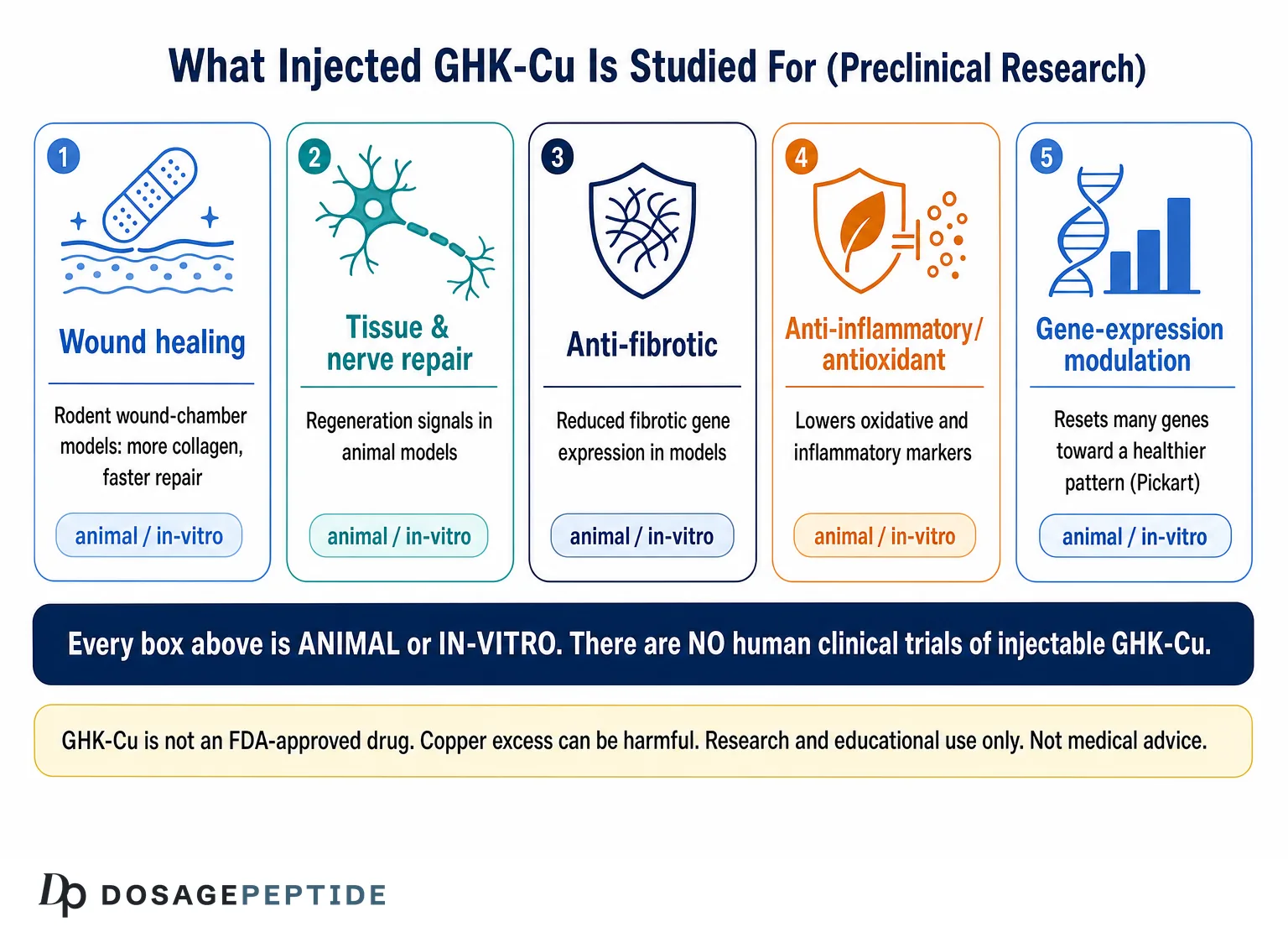 Injectable GHK-Cu: What the Subcutaneous and Systemic Research Shows