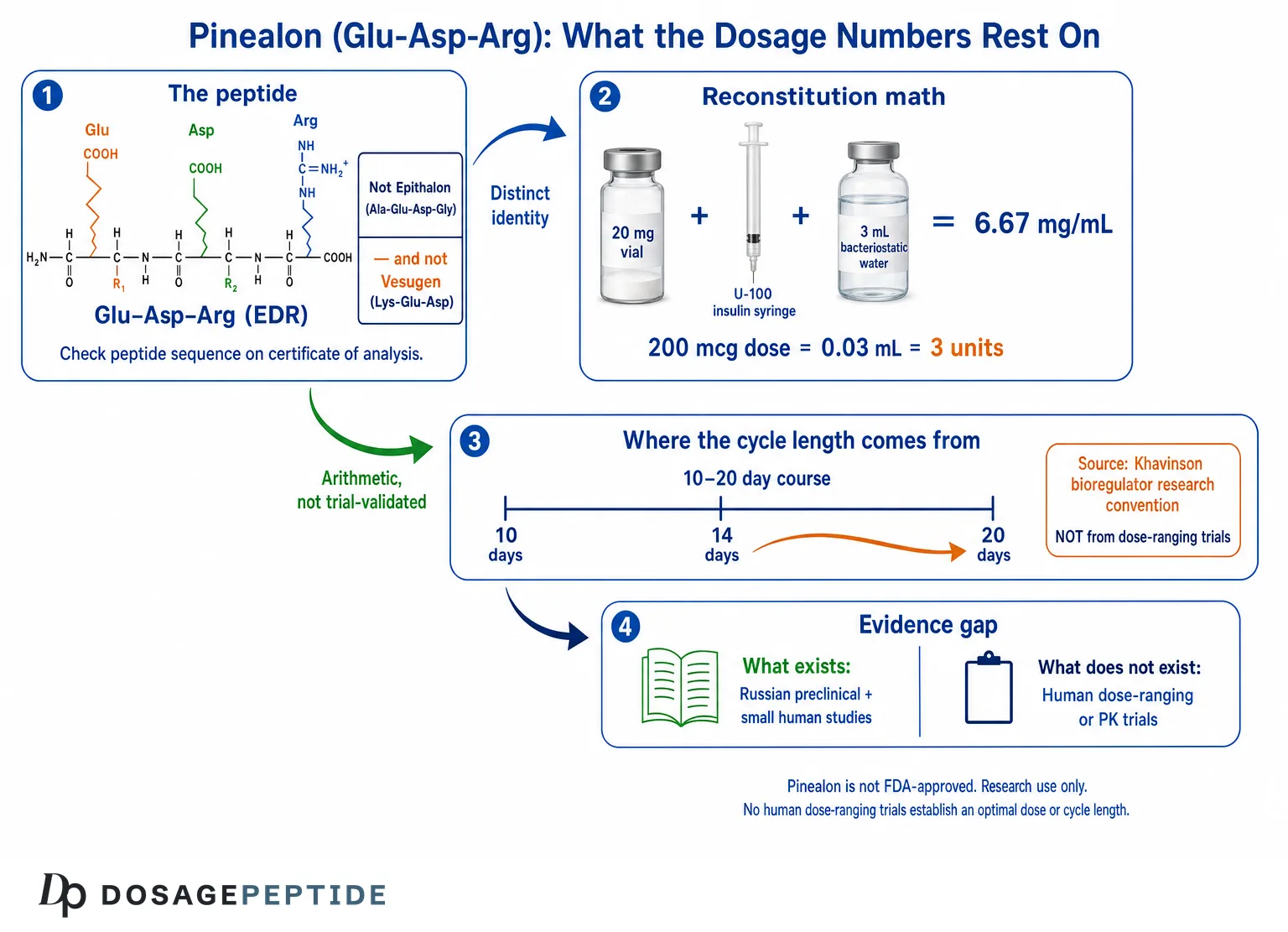 Pinealon Dosage: Cycle Length, Amount Per Day & the Research Protocol