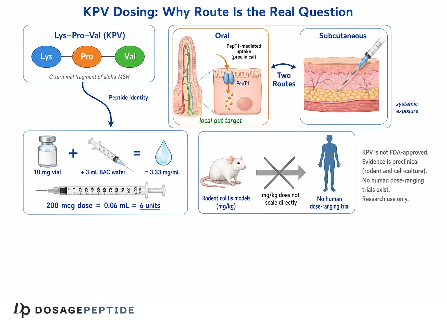 KPV (Lys-Pro-Val) dosing schema: oral PepT1 uptake versus subcutaneous route, 10 mg vial reconstitution math, and the rodent-to-human scaling gap