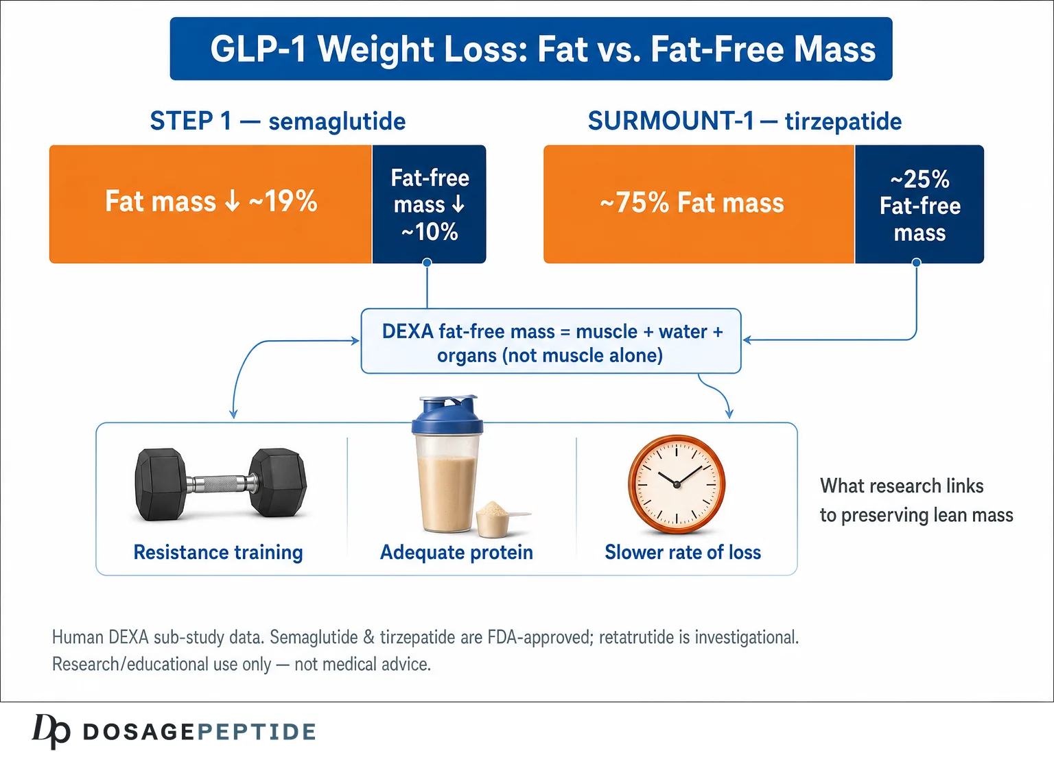 GLP-1 weight loss body composition: fat mass versus fat-free (lean) mass in STEP 1 semaglutide and SURMOUNT-1 tirzepatide DEXA sub-studies