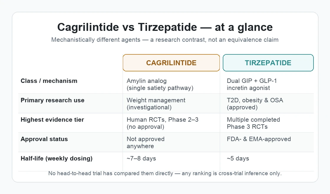 amylin analog cagrilintide Structural and dynamic features of binding to calcitonin and receptors Cagrilintide vs Tirzepatide Compared -
