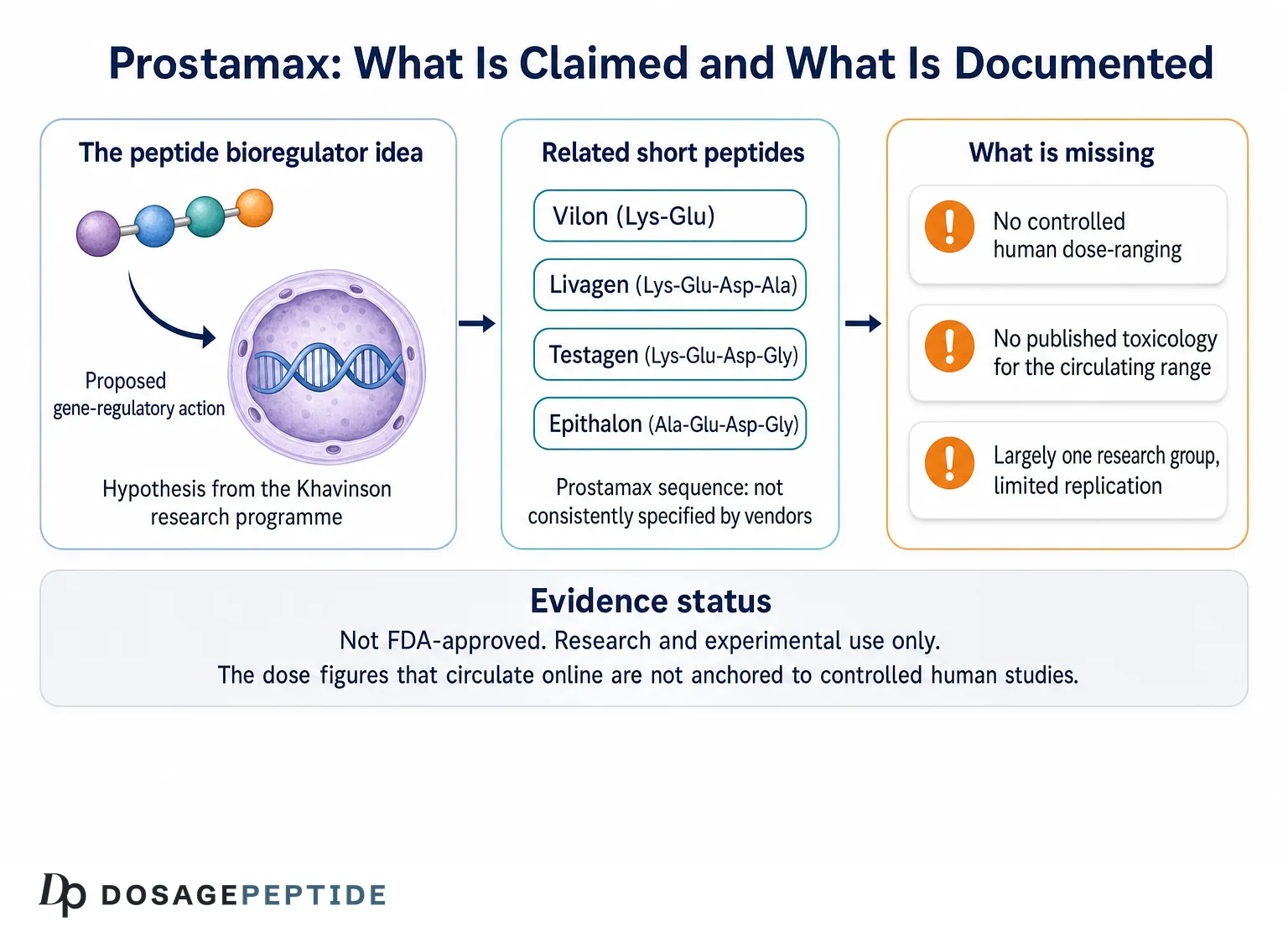 Schema of the Prostamax peptide bioregulator concept alongside the gaps in its evidence base