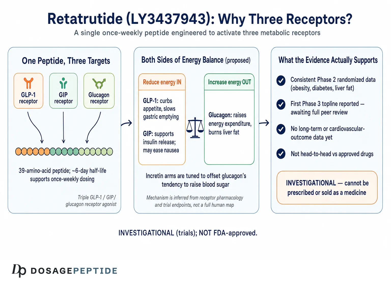 What is Retatrutide? Understanding the Triple‑Receptor Agonist Reshaping Weight‑Loss Therapies