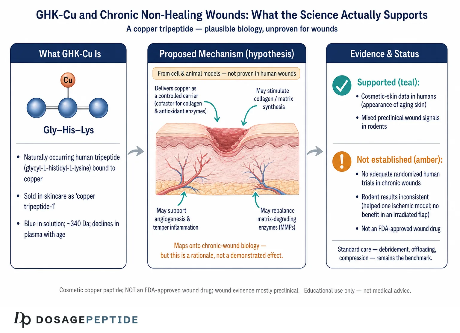 GHK-Cu for Chronic Wounds: What the Evidence Shows (2026)