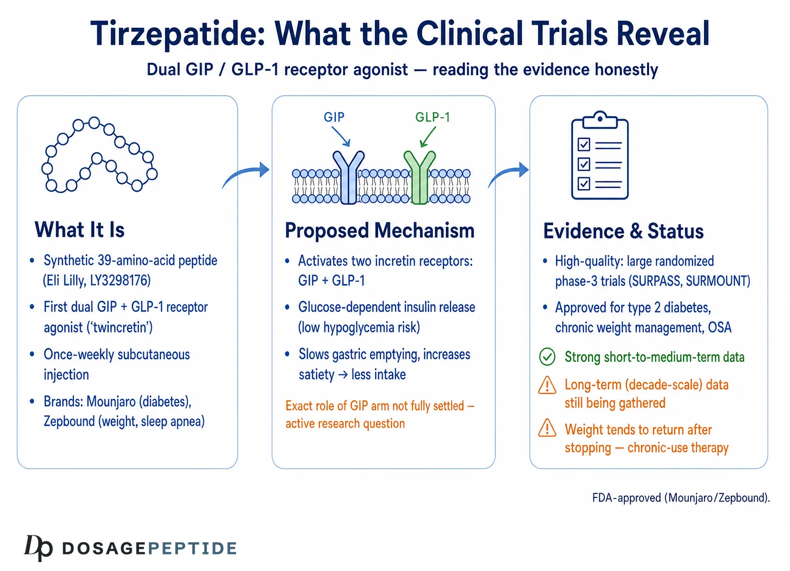 What Do the Latest Clinical Trials Reveal About Tirzepatide? — Dosage Peptide infographic