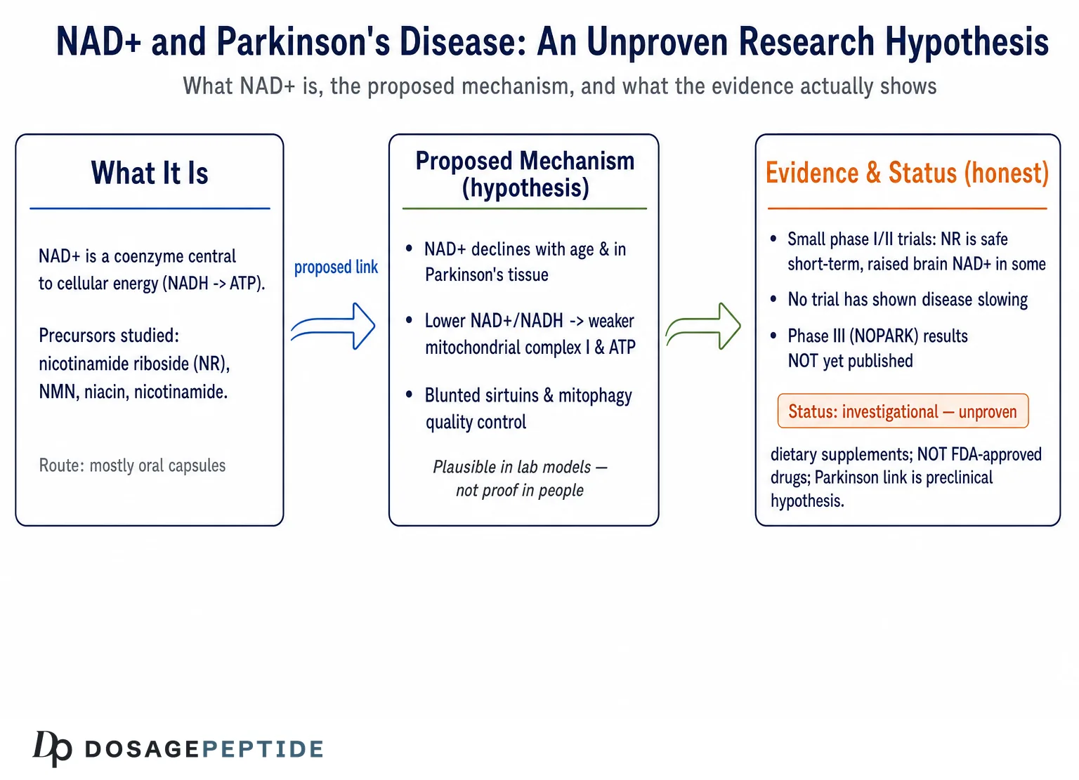 What Is the Link Between NAD+ Deficiency and Parkinson Progression? — Dosage Peptide infographic