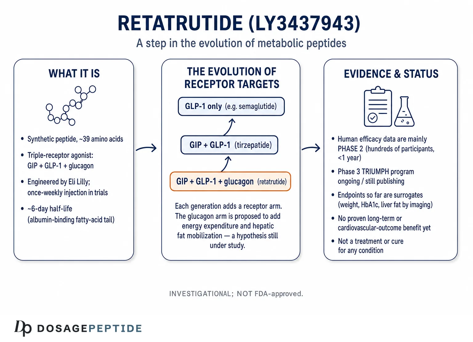 How Does Retatrutide Fit into the Evolution of Peptide Therapeutics?