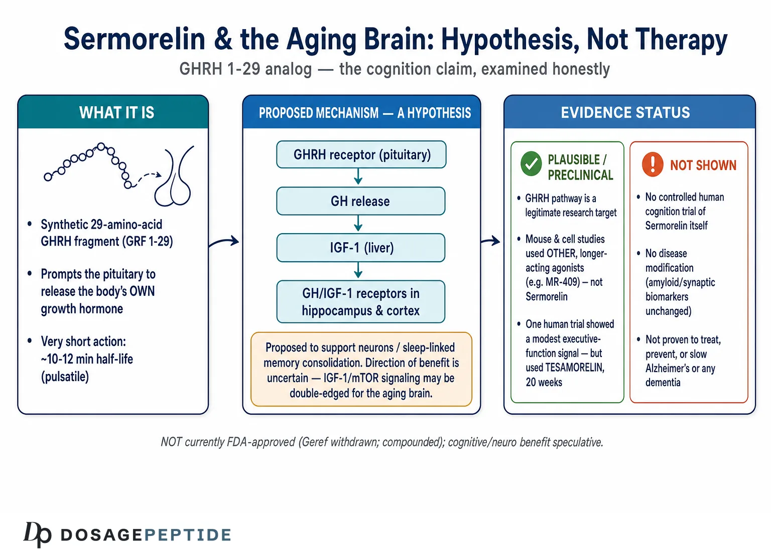Does Sermorelin Support Cognitive Function in Age-Related Neurodegeneration?
