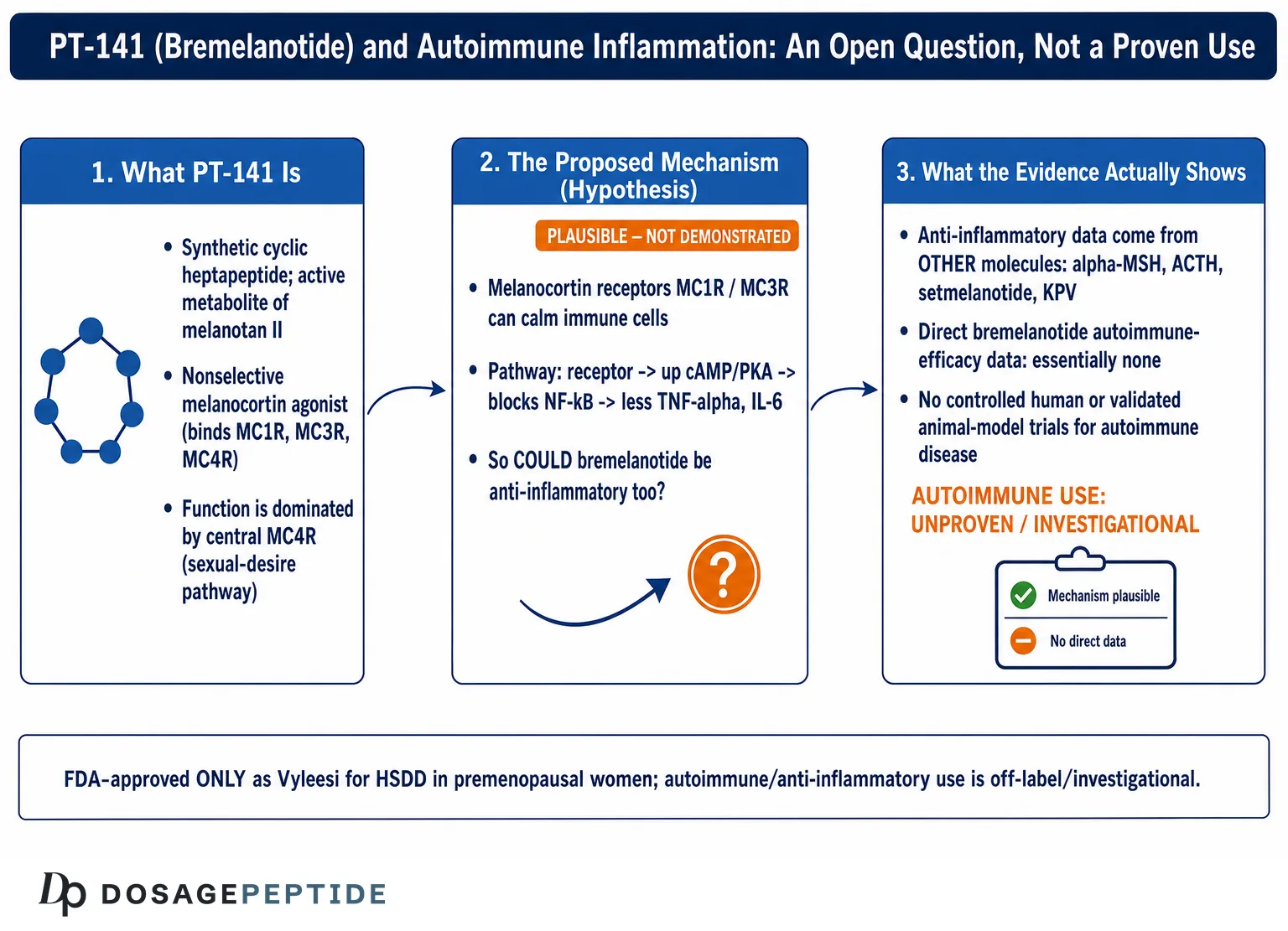 Can PT-141 Modulate Inflammatory Responses in Autoimmune Disorders? — Dosage Peptide infographic