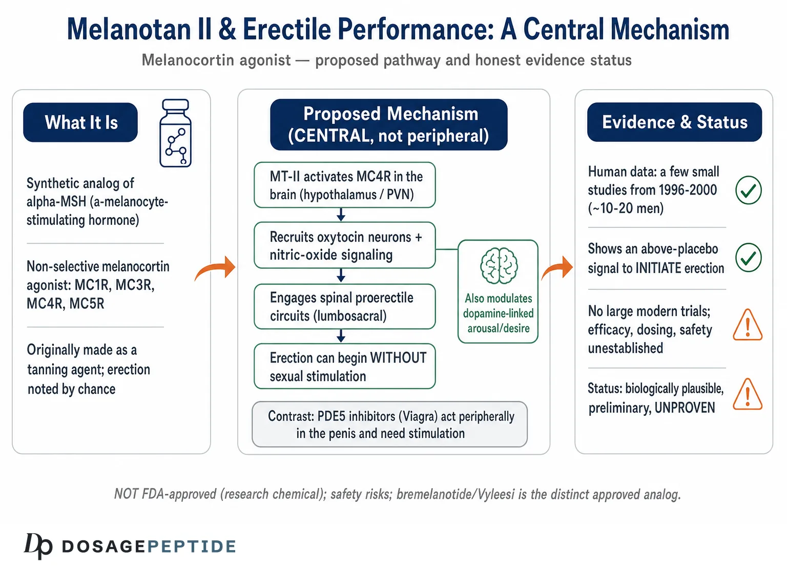 How Does Melanotan II Influence Erectile Performance Mechanistically? — Dosage Peptide infographic