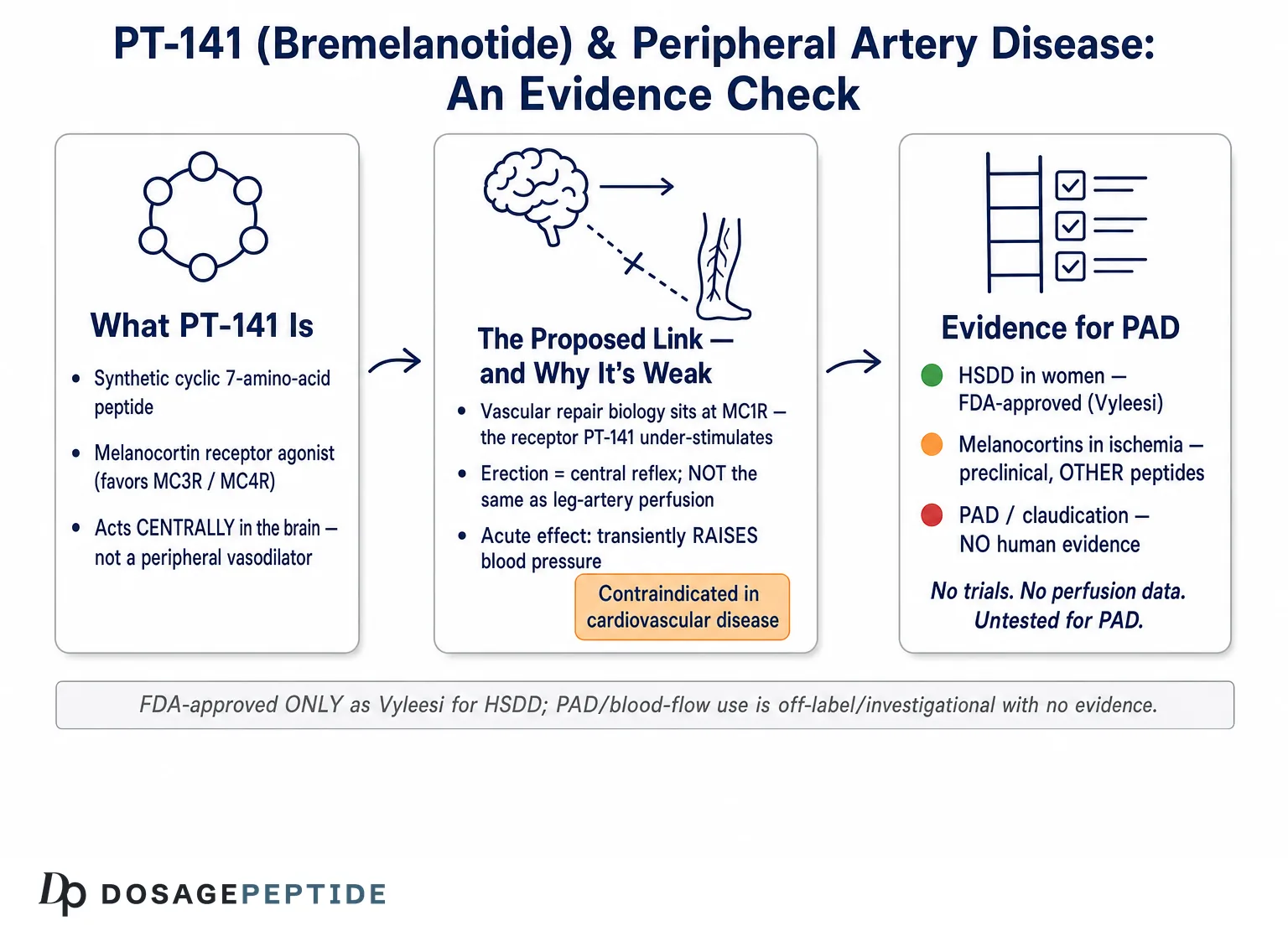 Can PT-141 Enhance Blood Flow in Peripheral Artery Disease (PAD)? — Dosage Peptide infographic