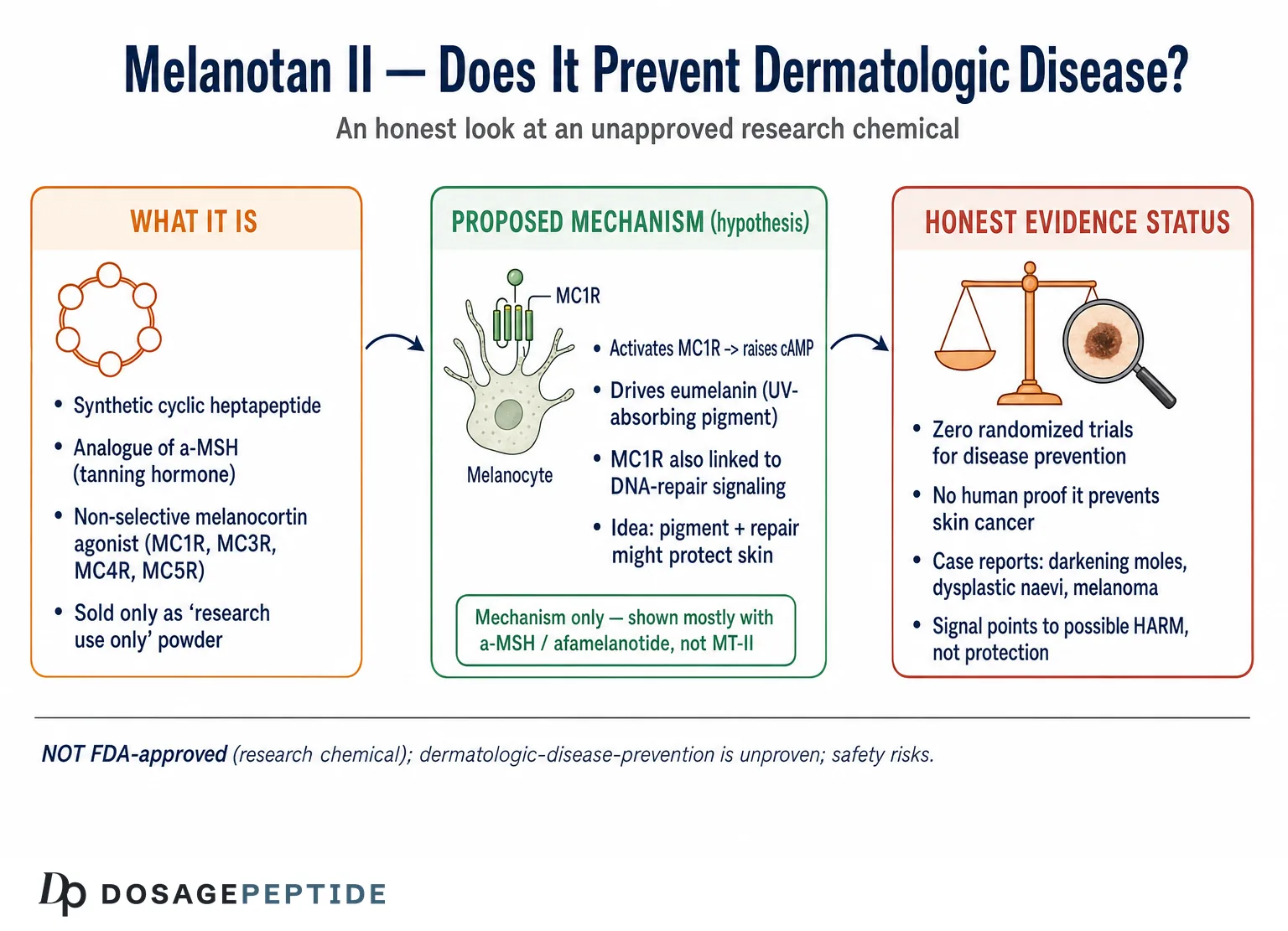 What Current Scientific Evidence Says About Melanotan II Preventing Dermatologic Disease? — Dosage Peptide infographic