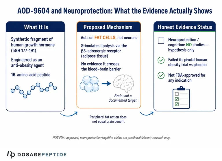 What Research Links AOD-9604 to Neuroprotection in Obesity-Related Cognitive Decline?