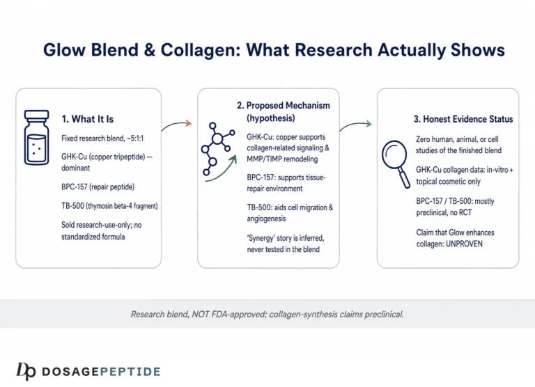 Does Current Research Support Peptide Glow in Enhancing Collagen Synthesis Pathways?