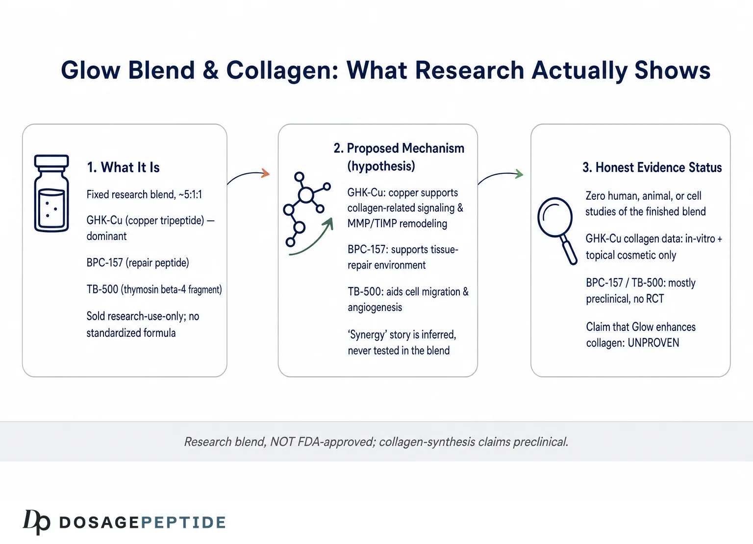 Does Current Research Support Peptide Glow in Enhancing Collagen Synthesis Pathways? — Dosage Peptide infographic