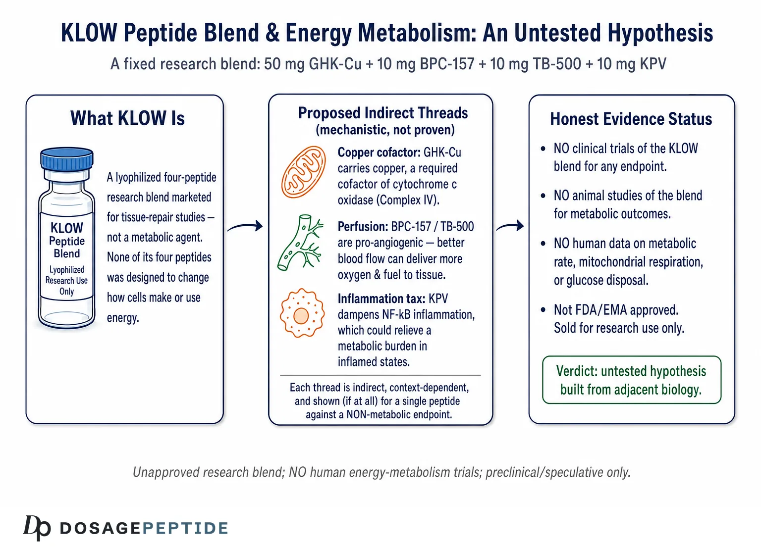 What Do Studies Reveal About KLOW Peptides and Energy Metabolism? — Dosage Peptide infographic